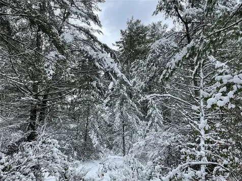 1315 Sackett Lake Road Forestburgh NY 12777