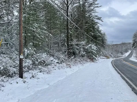 1315 Sackett Lake Road Forestburgh NY 12777