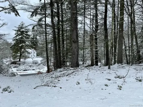 1315 Sackett Lake Road Forestburgh NY 12777