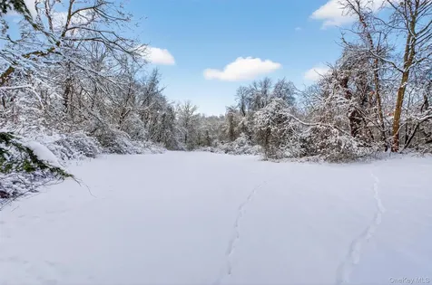 91 Clove Branch Road Hopewell Junction NY 12533