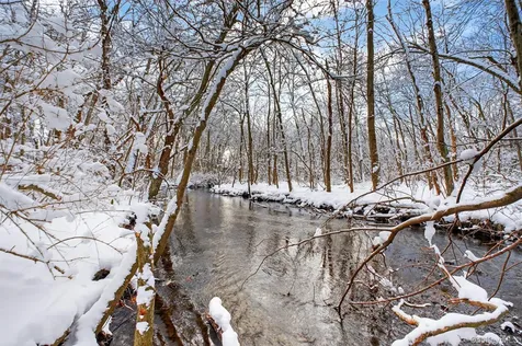 91 Clove Branch Road Hopewell Junction NY 12533