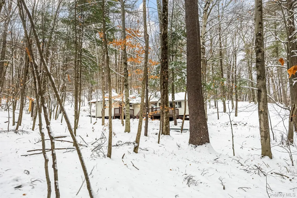 267 Reed Road Chatham NY 12037