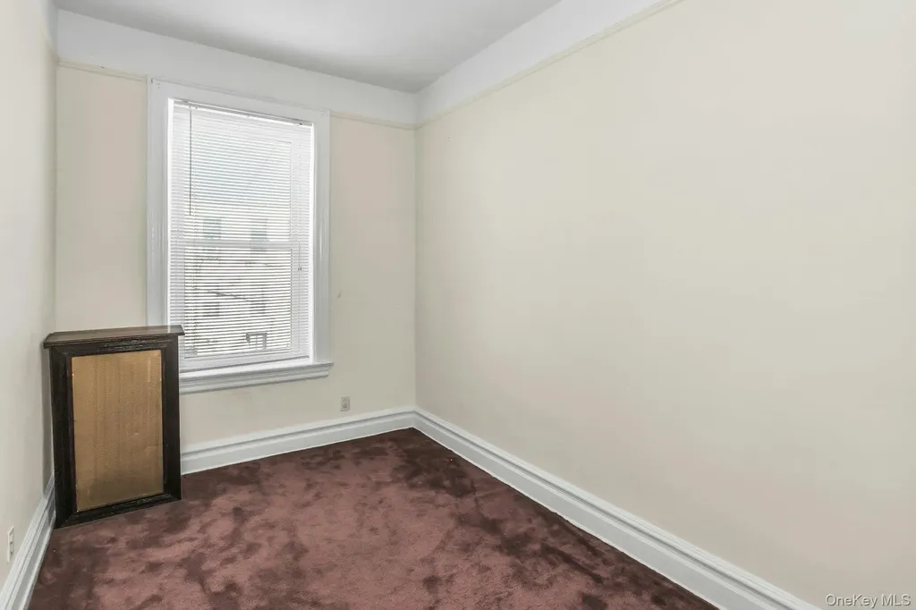 317 95th Street Brooklyn NY 11209