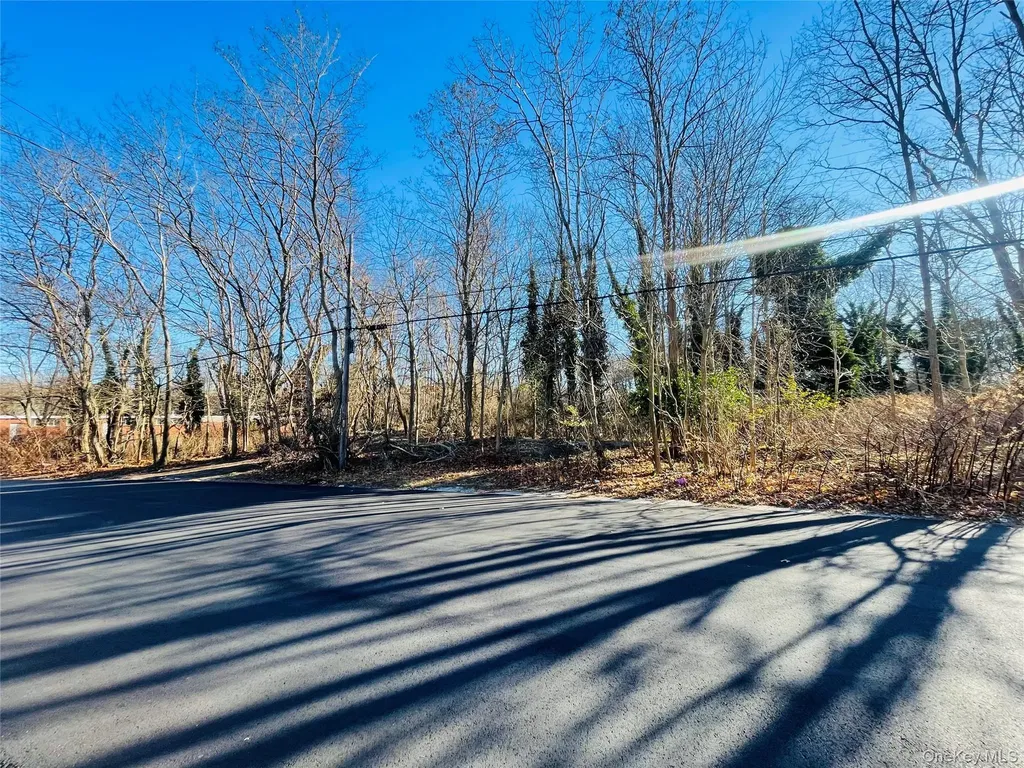 Ville Meadowmere Avenue Mastic NY 11950