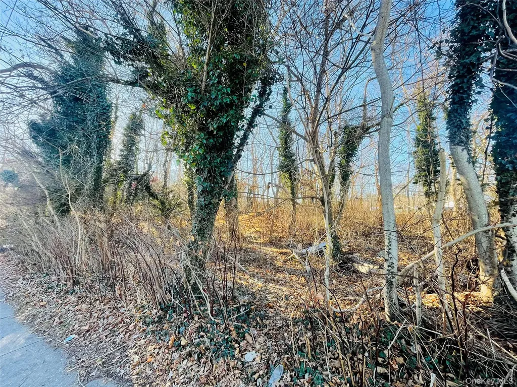 Ville Meadowmere Avenue Mastic NY 11950