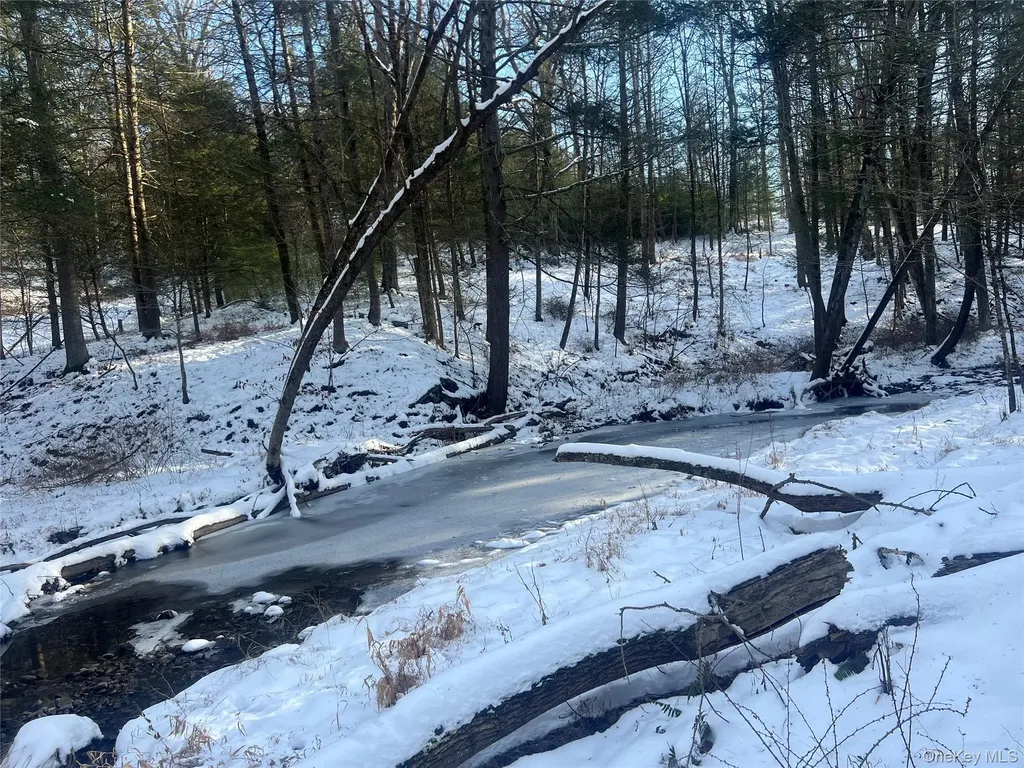 26 Mossybrook Road High Falls NY 12440