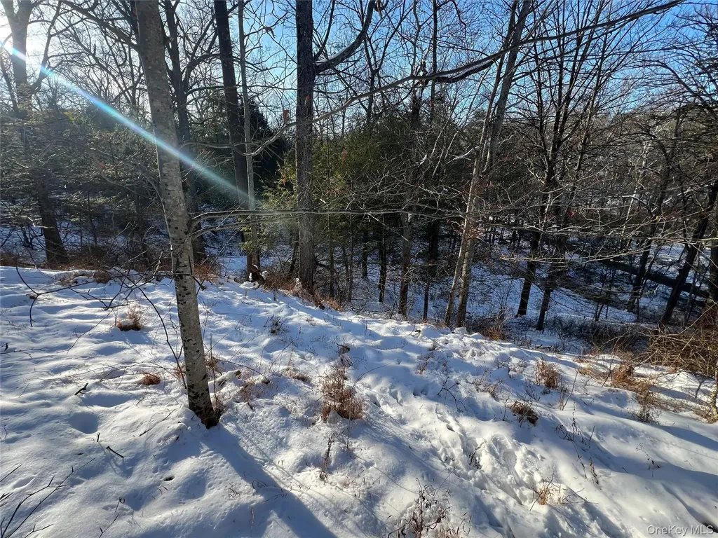26 Mossybrook Road High Falls NY 12440