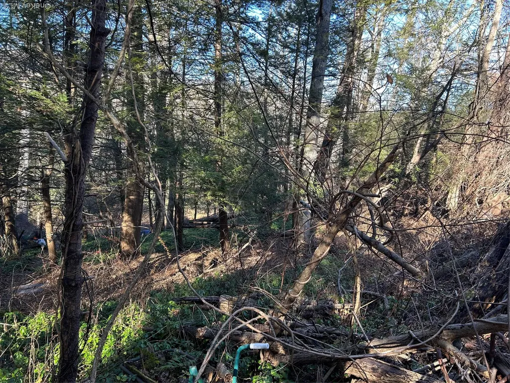26 Mossybrook Road High Falls NY 12440