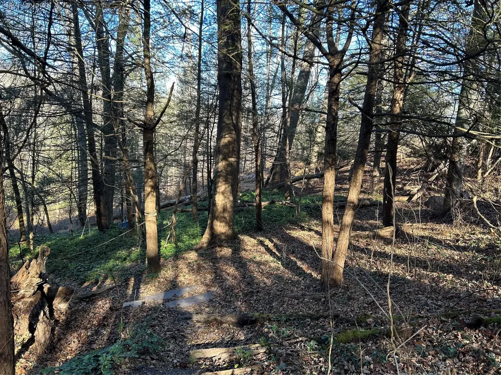 26 Mossybrook Road High Falls NY 12440