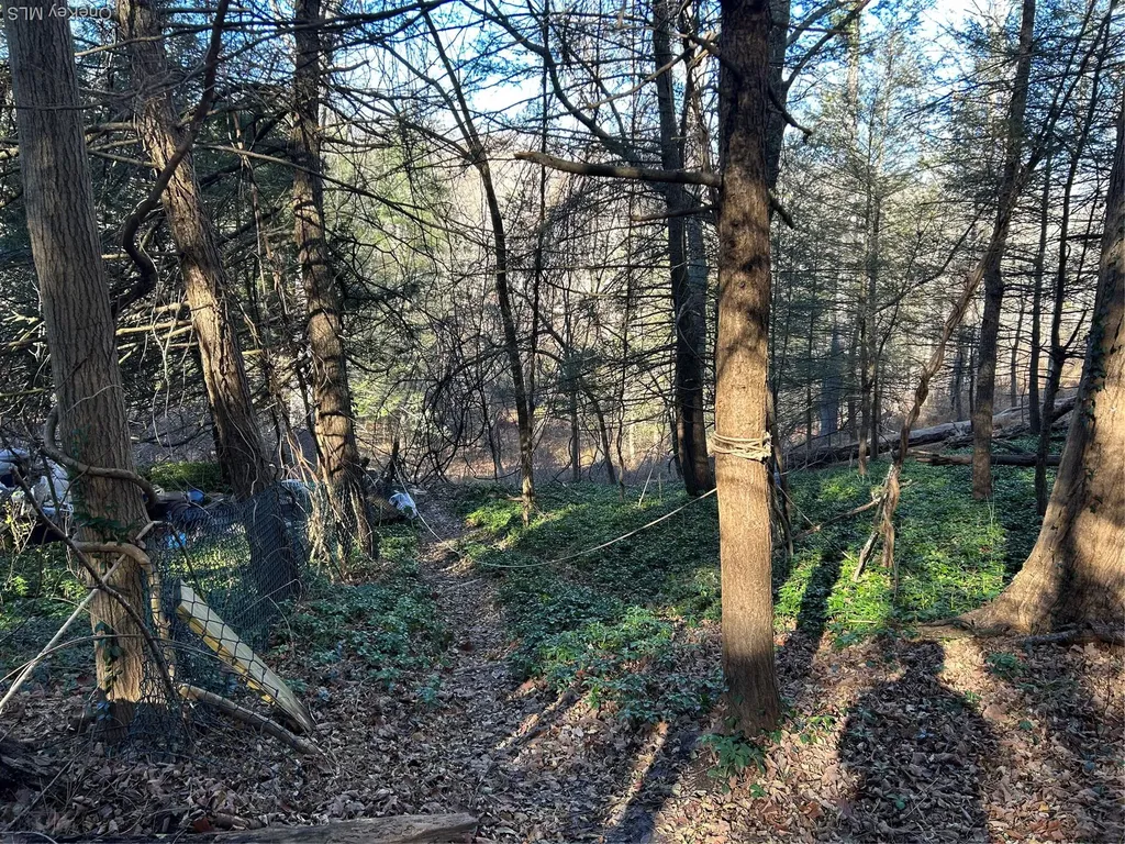 26 Mossybrook Road High Falls NY 12440
