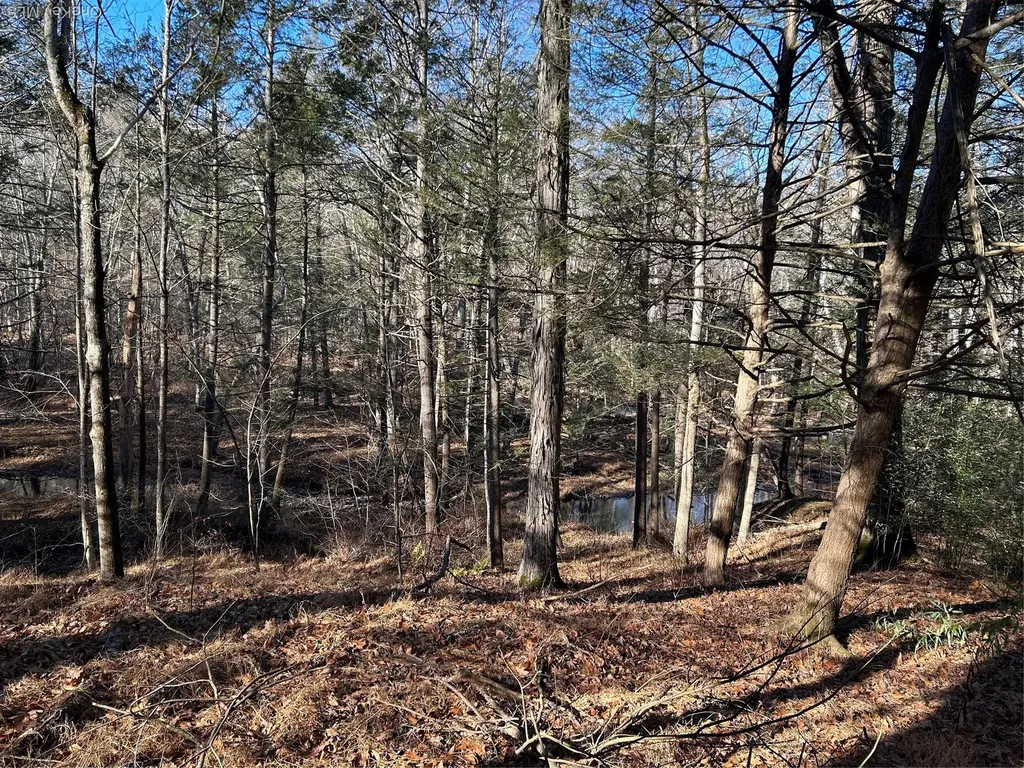 26 Mossybrook Road High Falls NY 12440