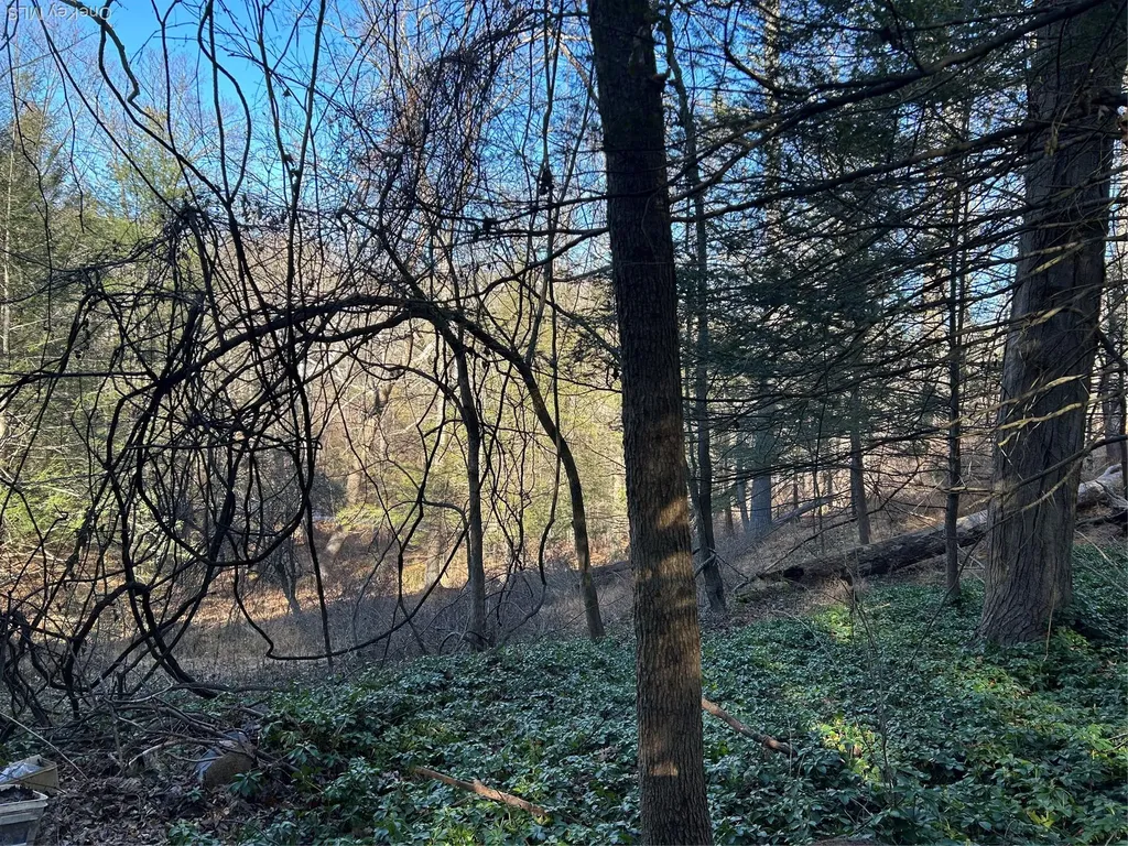 26 Mossybrook Road High Falls NY 12440