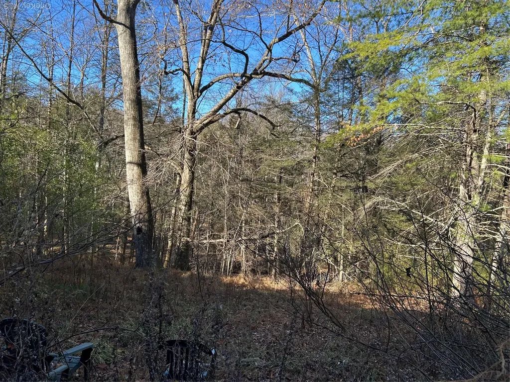 26 Mossybrook Road High Falls NY 12440