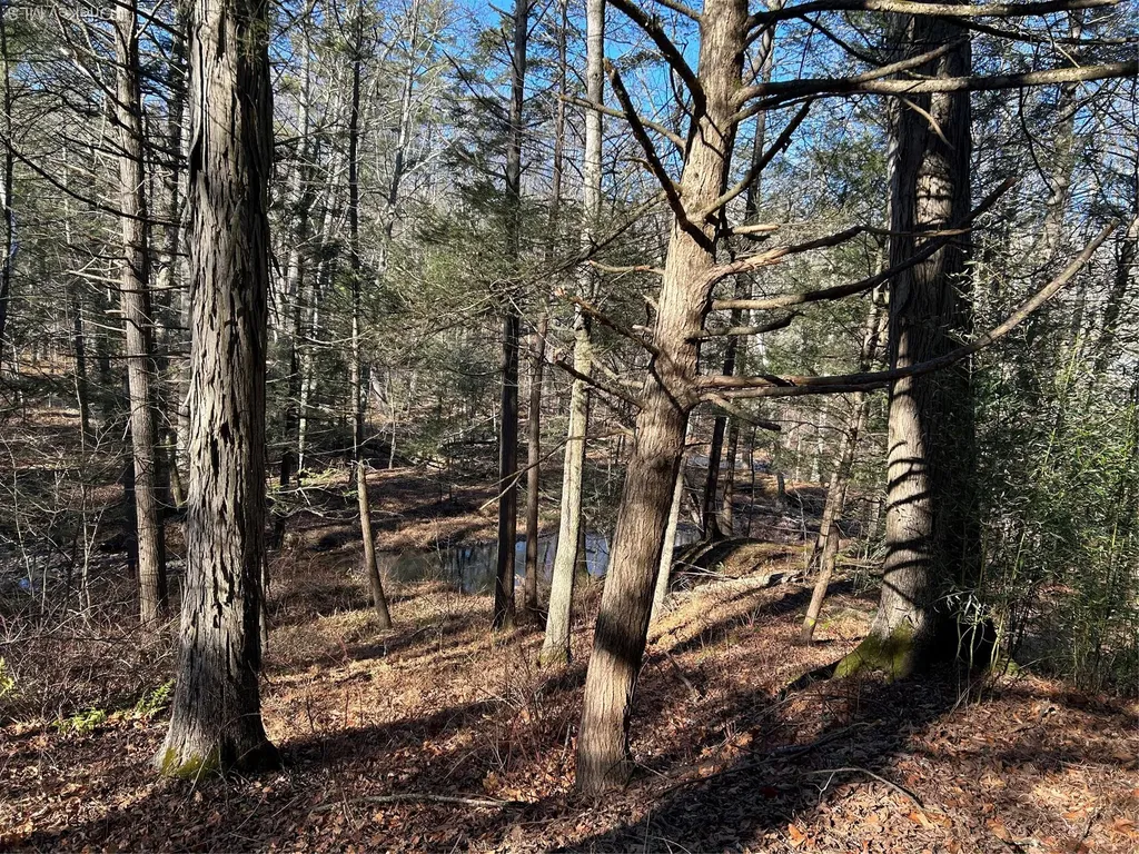 26 Mossybrook Road High Falls NY 12440