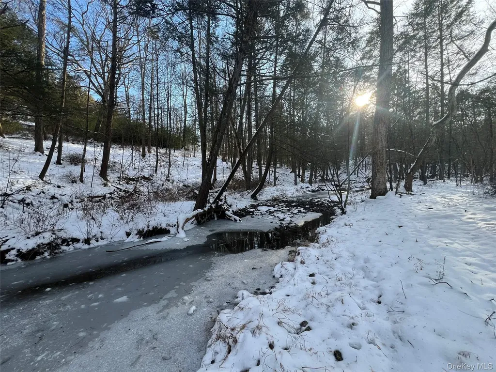 26 Mossybrook Road High Falls NY 12440