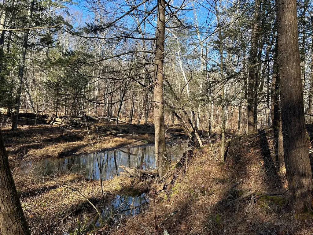26 Mossybrook Road High Falls NY 12440