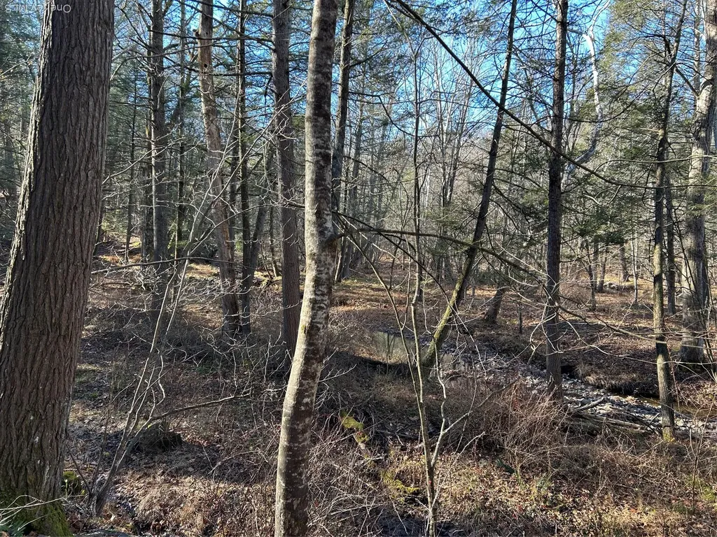 26 Mossybrook Road High Falls NY 12440