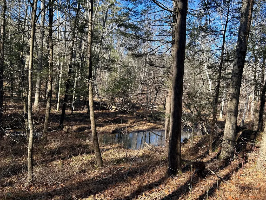 26 Mossybrook Road High Falls NY 12440
