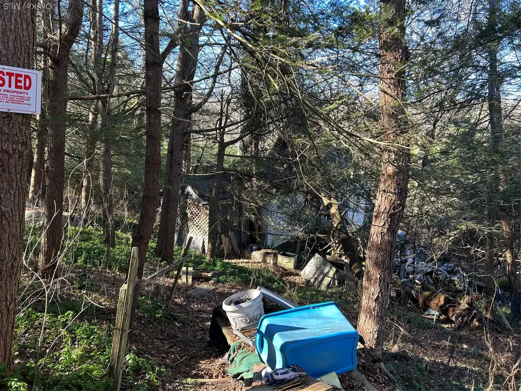 26 Mossybrook Road High Falls NY 12440