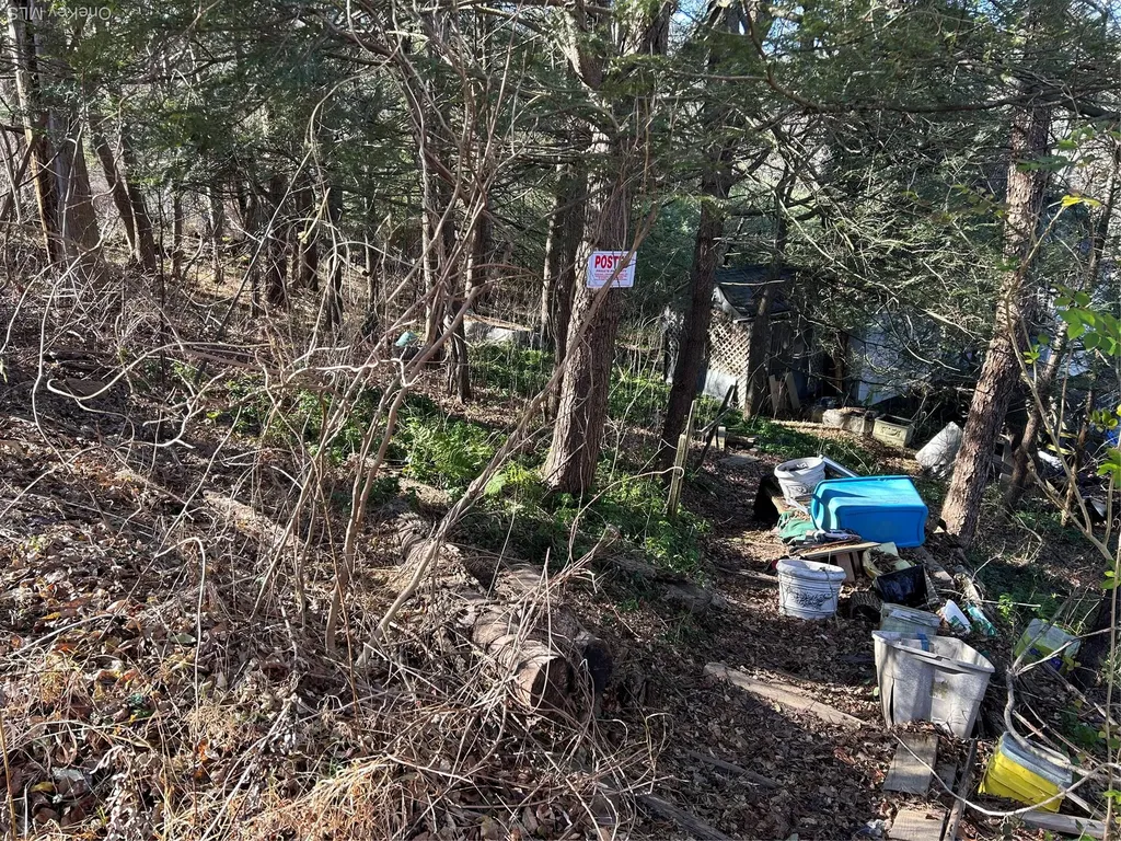 26 Mossybrook Road High Falls NY 12440