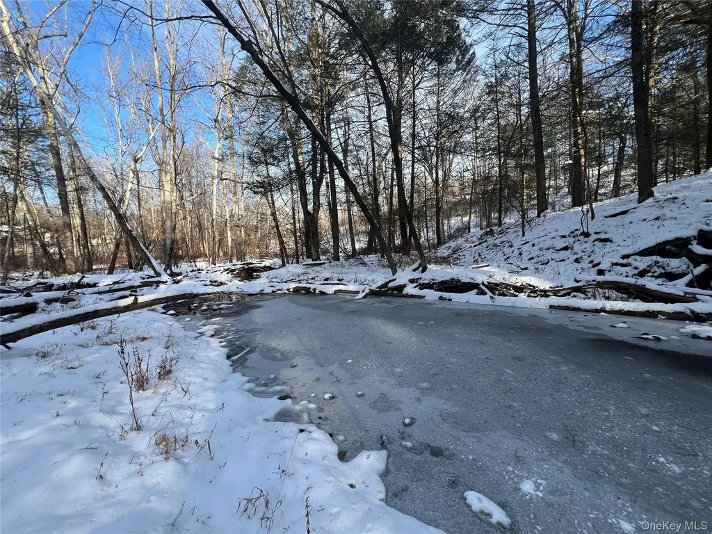 26 Mossybrook Road High Falls NY 12440