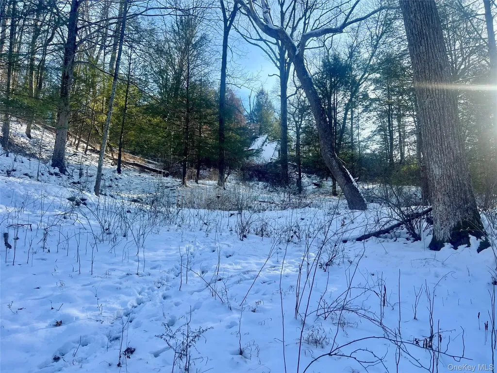 26 Mossybrook Road High Falls NY 12440