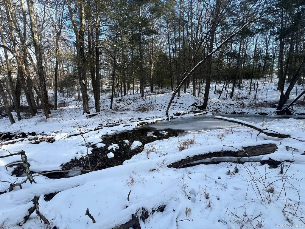 26 Mossybrook Road High Falls NY 12440