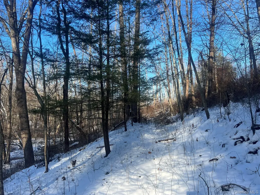 26 Mossybrook Road High Falls NY 12440