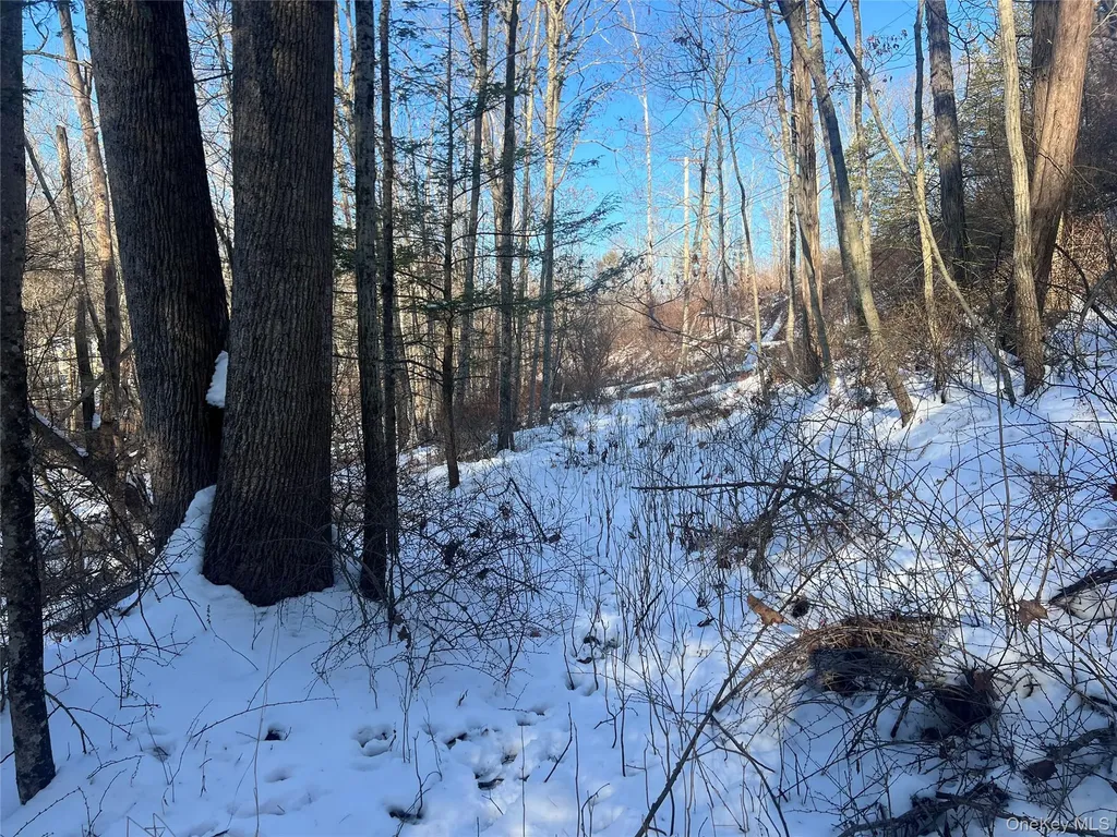26 Mossybrook Road High Falls NY 12440