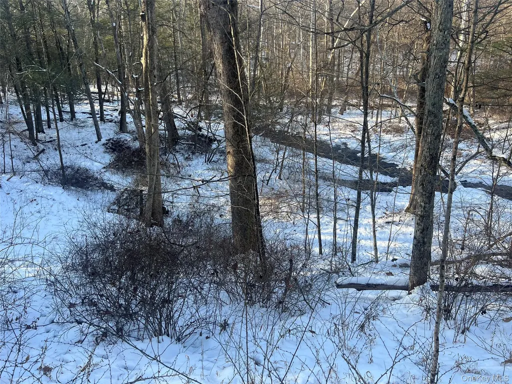 26 Mossybrook Road High Falls NY 12440