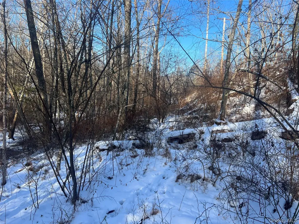 26 Mossybrook Road High Falls NY 12440