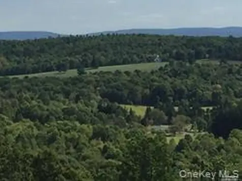 Greeley Road /Rte 27 Craryville NY 12521