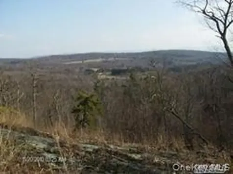 Greeley Road /Rte 27 Craryville NY 12521