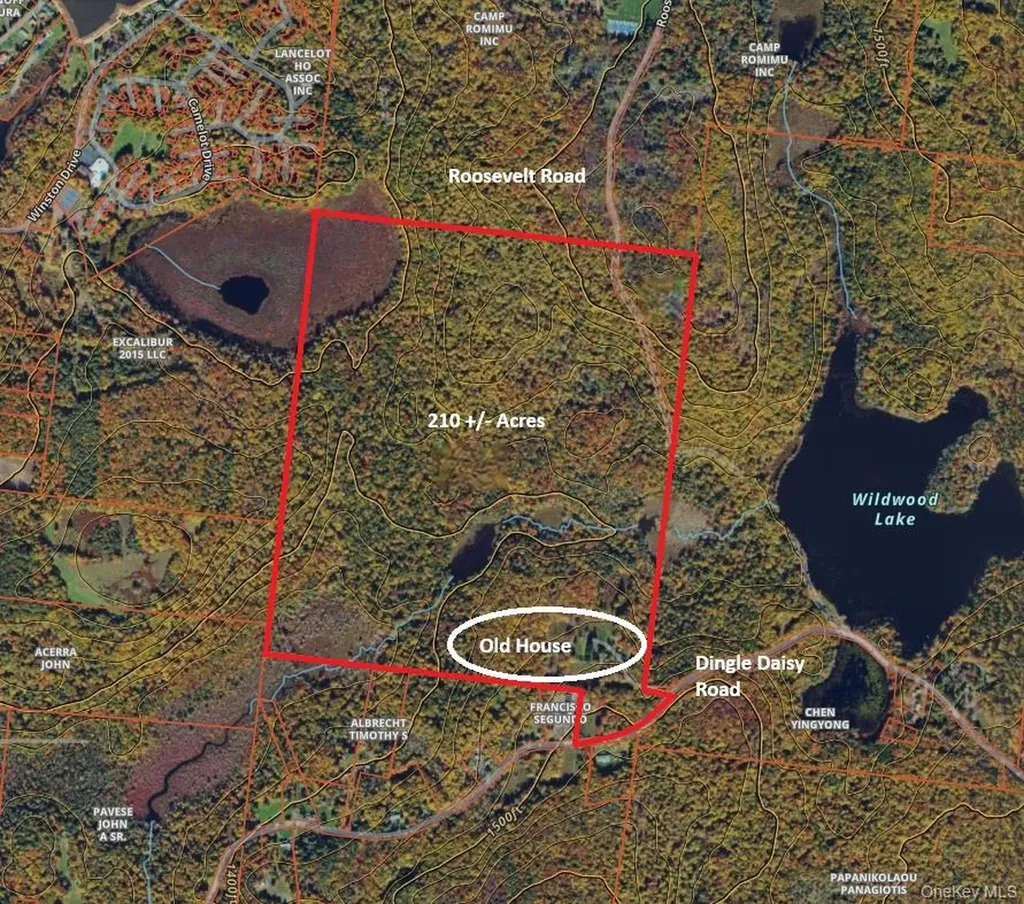 174 Dingle Daisy Road Monticello NY 12701