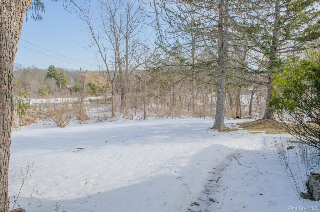 8874 Us Route 9w Athens NY 12015