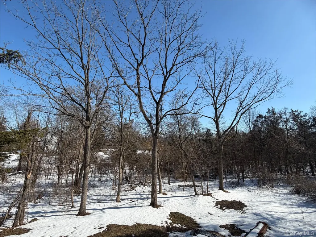 8874 Us Route 9w Athens NY 12015