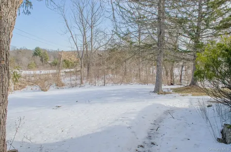 8874 Us Route 9w Athens NY 12015