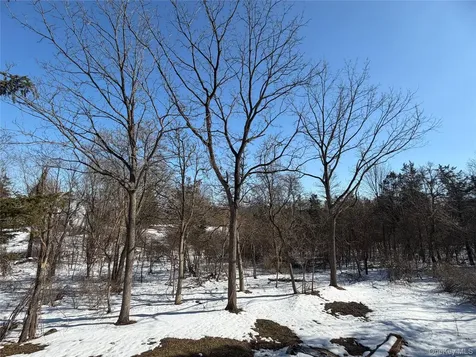 8874 Us Route 9w Athens NY 12015