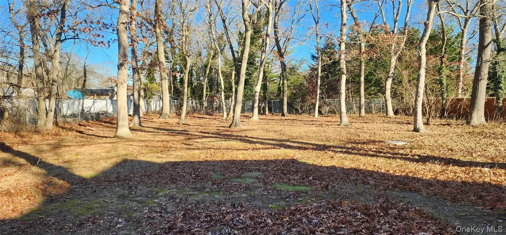 299 Whittier Drive Mastic Beach NY 11951