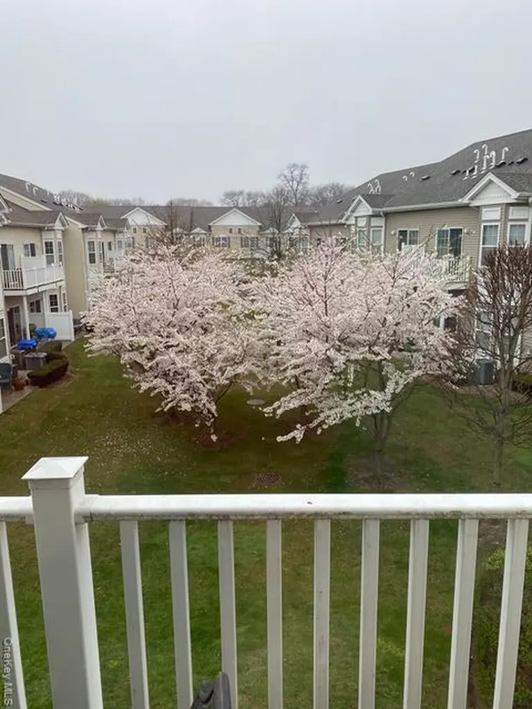 483 Spring Drive East Meadow NY 11554