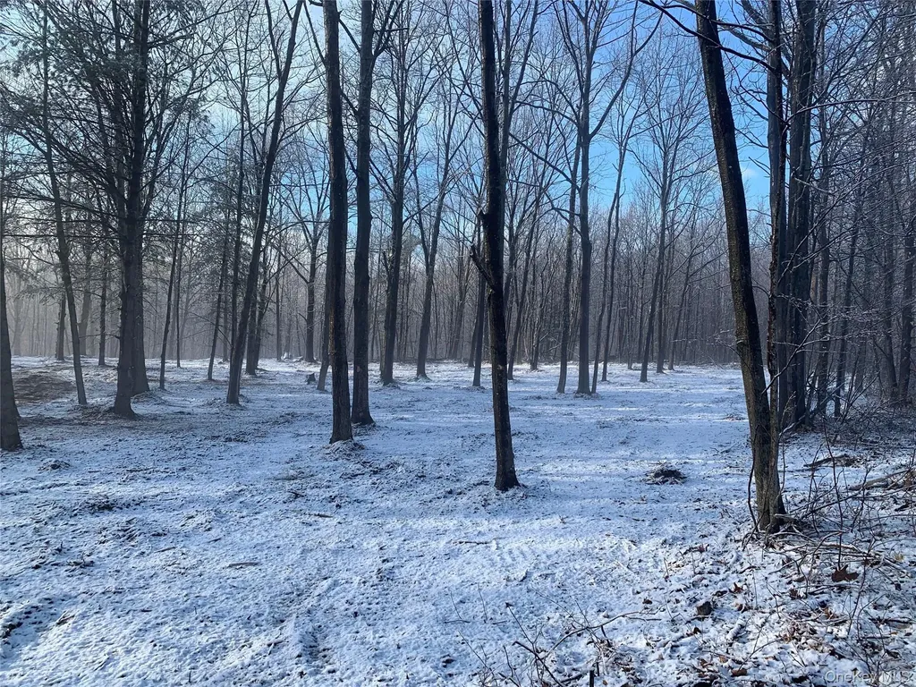 0 Harroway Other NY 12149