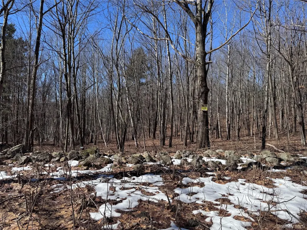 0 Harroway Other NY 12149