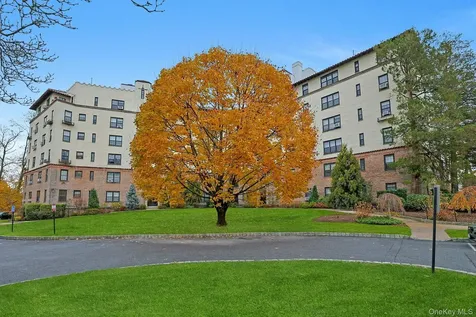 1273 North Avenue New Rochelle NY 10804