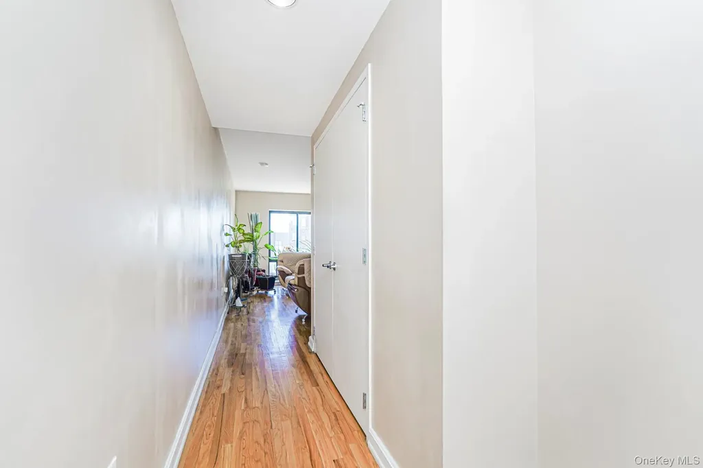 775 Lafayette Brooklyn NY 11221