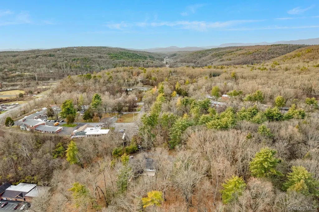 233 Forest Hill Drive Kingston NY 12401