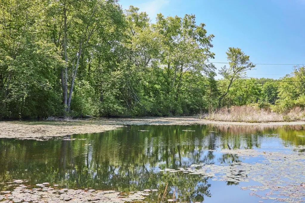 203 Silver Lake Road Rhinebeck NY 12572