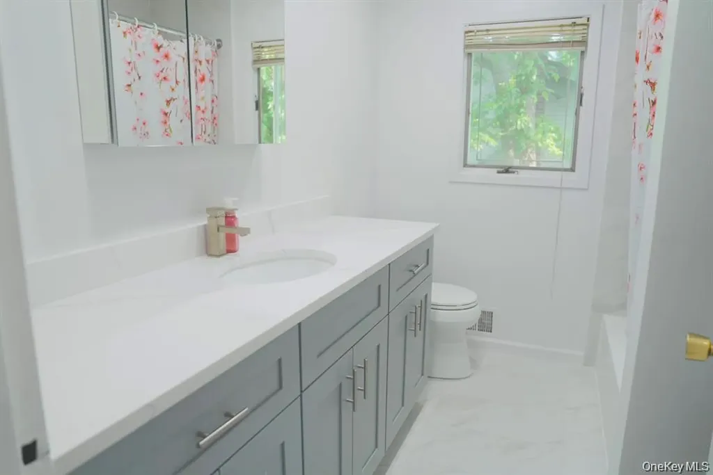 23 Clinton Lane Jericho NY 11753