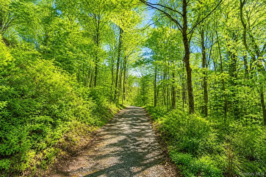 233 Long Ridge Road Bedford NY 10506