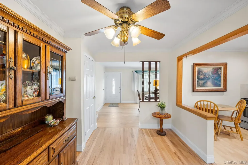 88 Evans Avenue Albertson NY 11507