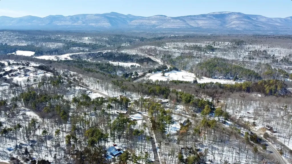 24 Palmer Road Catskill NY 12414